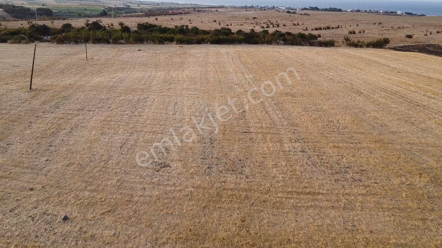 İlan Fotoğrafı
